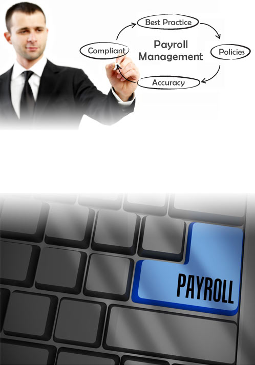 Payroll management servies delhi